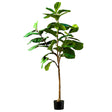 SOGA 155cm Green Artificial Indoor Qin Yerong Tree Fake Plant Simulation Decorative - Cafe Supply