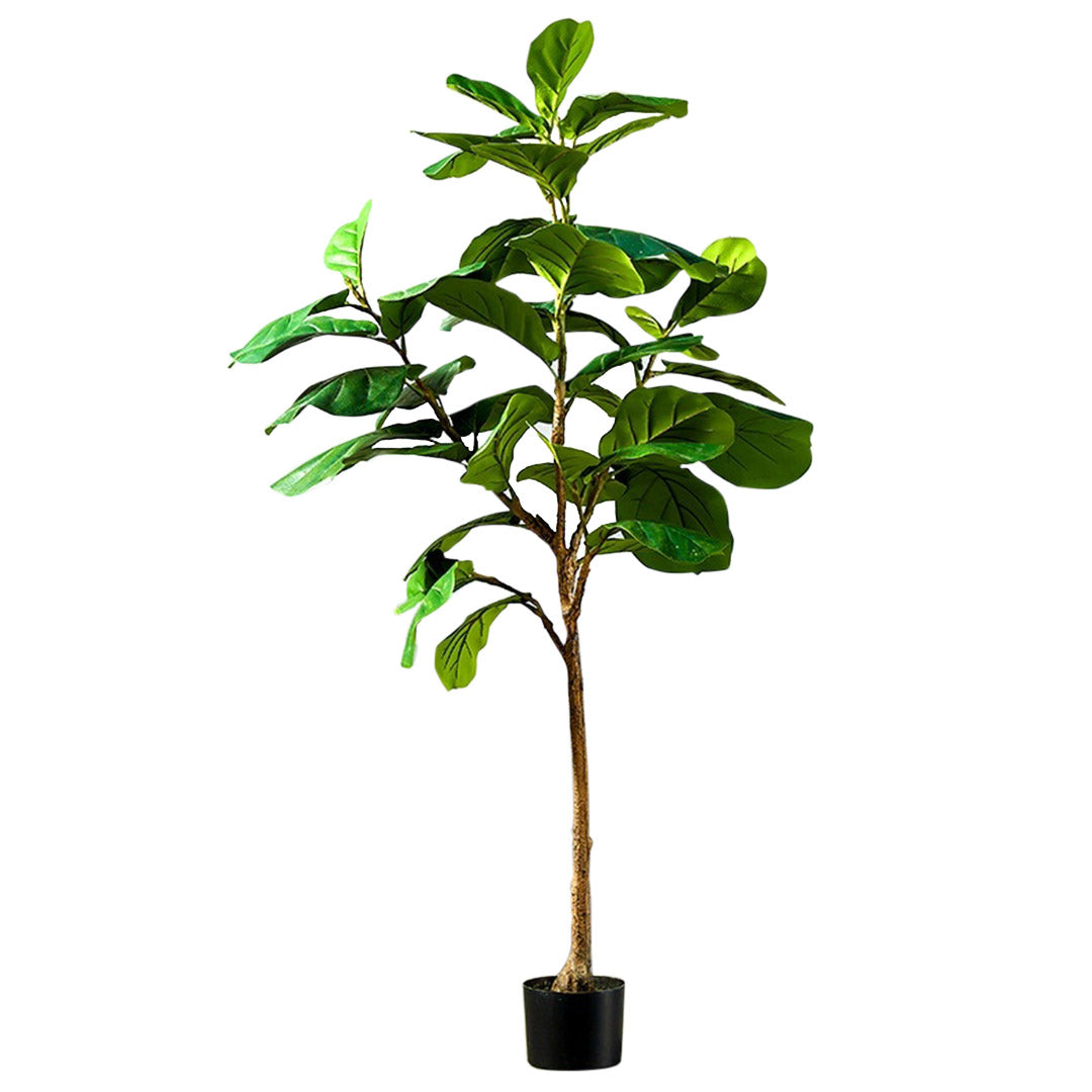 SOGA 155cm Green Artificial Indoor Qin Yerong Tree Fake Plant Simulation Decorative - Cafe Supply