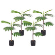 SOGA 4X 60cm Artificial Natural Green Split-Leaf Philodendron Tree Fake Tropical Indoor Plant Home Office Decor - Cafe Supply