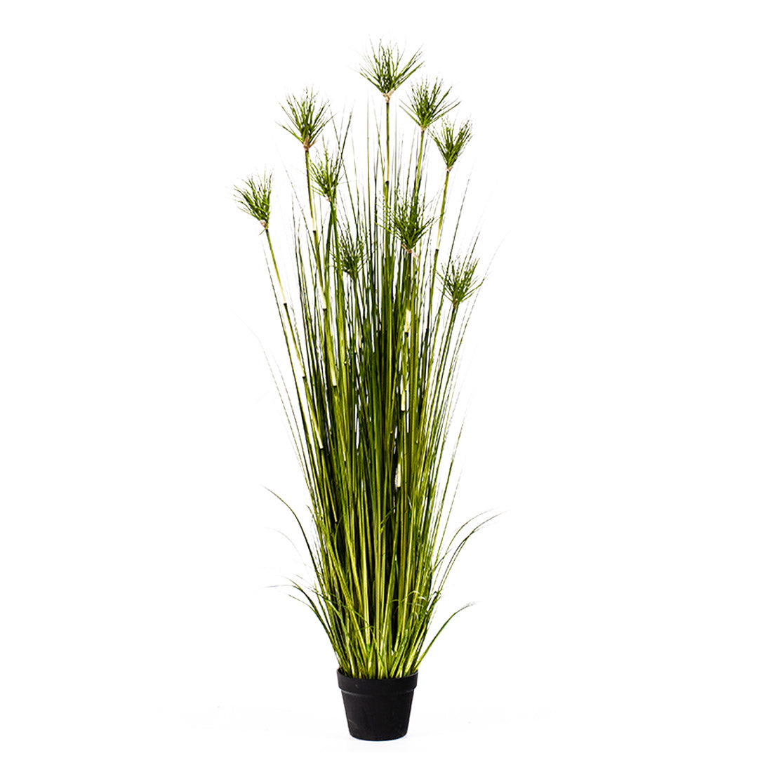 SOGA 150cm Green Artificial Indoor Potted Papyrus Plant Tree Fake Simulation Decorative - Cafe Supply