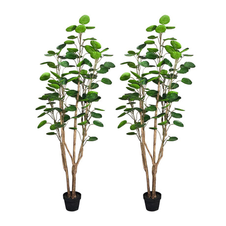 SOGA 2X 150cm Green Artificial Indoor Pocket Money Tree Fake Plant Simulation Decorative - Cafe Supply