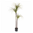 SOGA 145cm Green Artificial Indoor Dragon Blood Tree Fake Plant Decorative - Cafe Supply