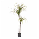 SOGA 145cm Green Artificial Indoor Dragon Blood Tree Fake Plant Decorative - Cafe Supply