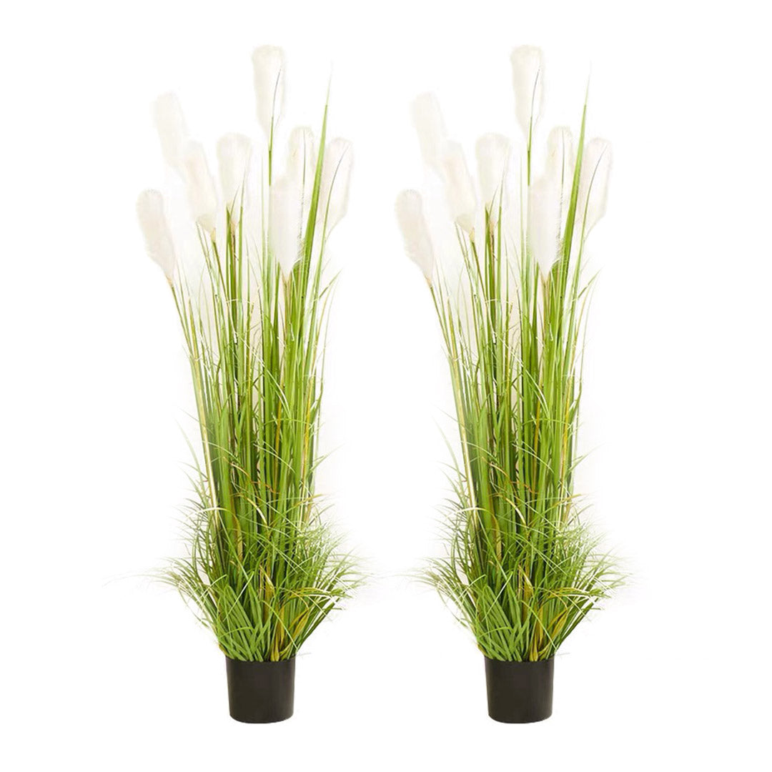 SOGA 2X 150cm Green Artificial Indoor Potted Reed Grass Tree Fake Plant Simulation Decorative - Cafe Supply