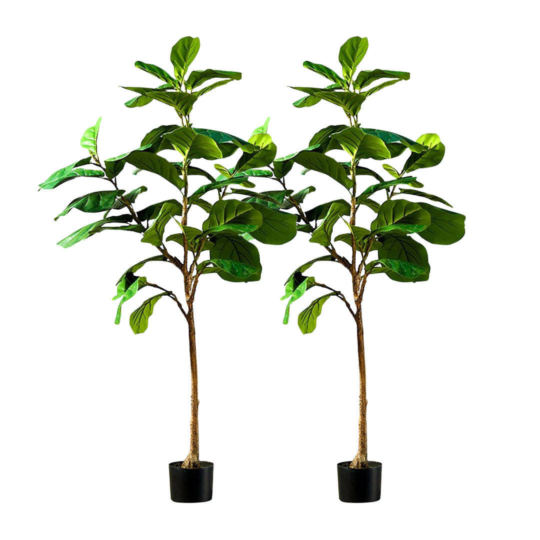 SOGA 2X 155cm Green Artificial Indoor Qin Yerong Tree Fake Plant Simulation Decorative - Cafe Supply