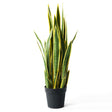 SOGA 50cm Artificial Indoor Yellow Edge Tiger Piran Fake Decoration Tree Flower Pot Plant - Cafe Supply