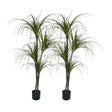 SOGA 2X 150cm Green Artificial Indoor Dragon Blood Tree Fake Plant Simulation Decorative - Cafe Supply