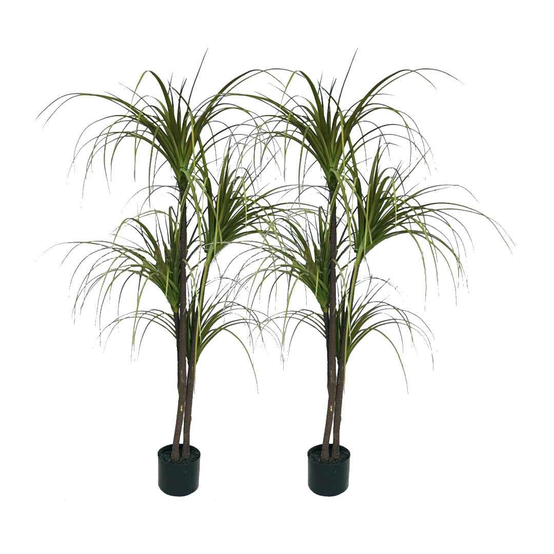 SOGA 2X 150cm Green Artificial Indoor Dragon Blood Tree Fake Plant Simulation Decorative - Cafe Supply