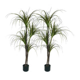 SOGA 2X 150cm Green Artificial Indoor Dragon Blood Tree Fake Plant Simulation Decorative - Cafe Supply