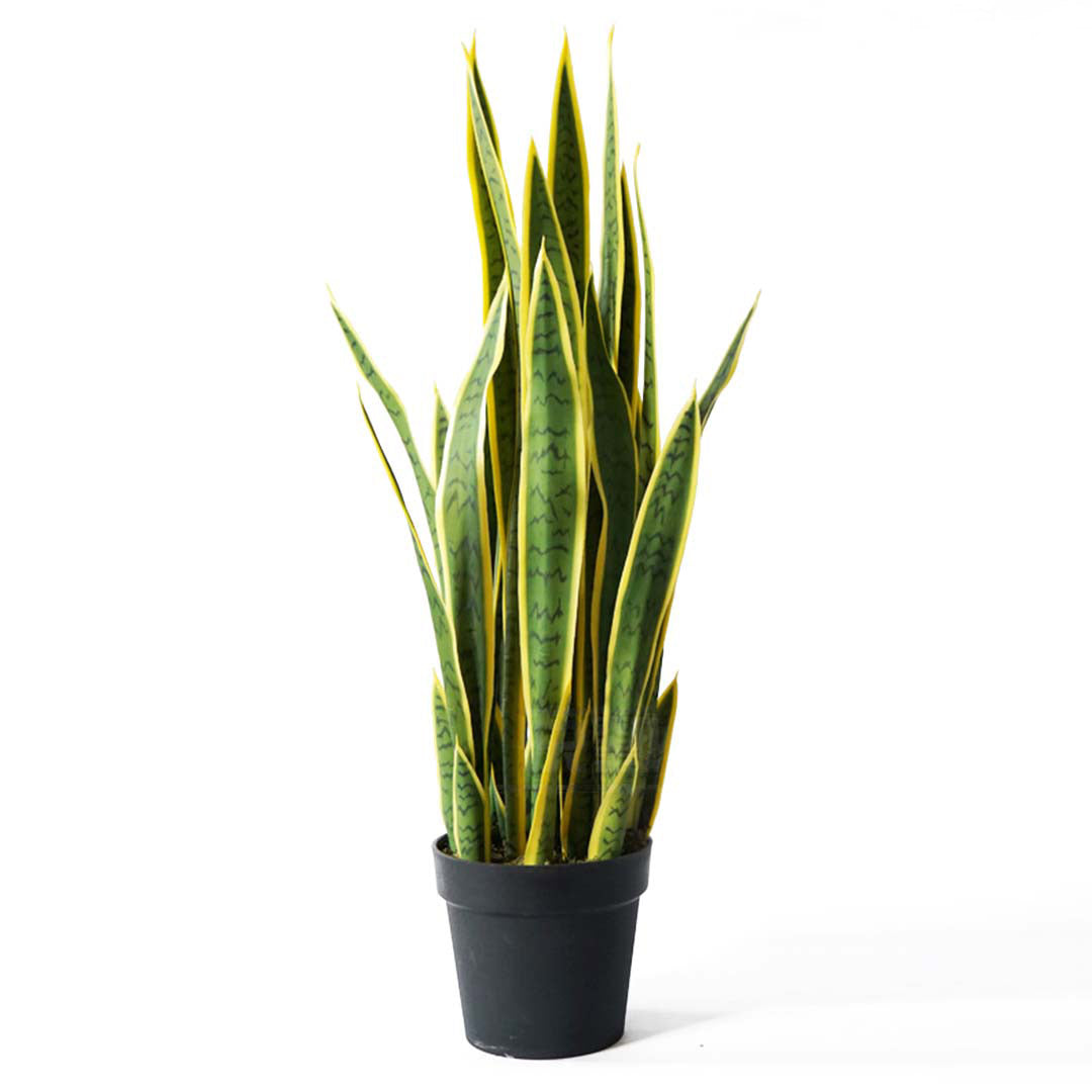 SOGA 70cm Artificial Indoor Yellow Edge Tiger Piran Fake Decoration Tree Flower Pot Plant - Cafe Supply