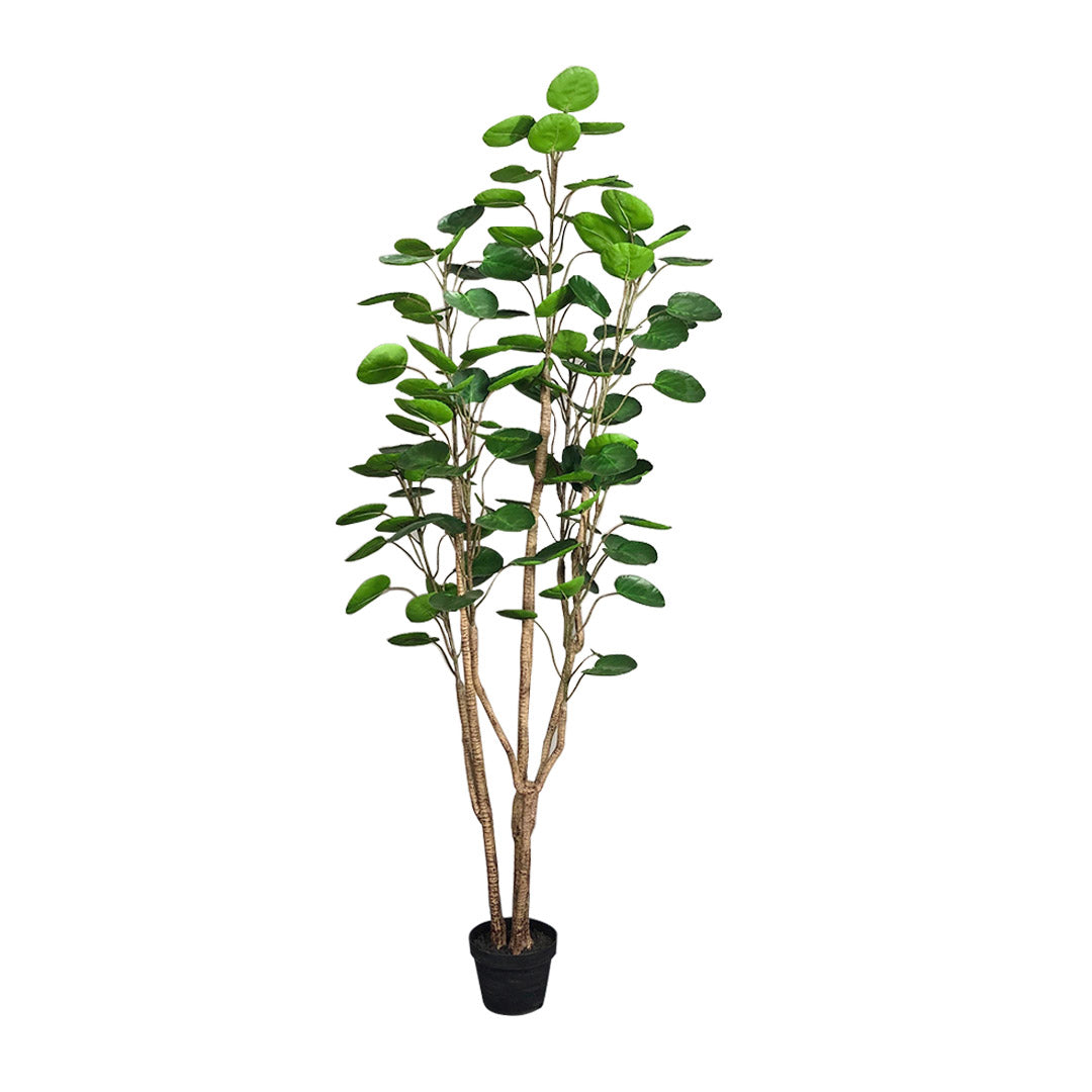 SOGA 180cm Green Artificial Indoor Pocket Money Tree Fake Plant Simulation Decorative - Cafe Supply