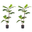SOGA 2X 90cm 2-Trunk Artificial Natural Green Split-Leaf Philodendron Tree Fake Tropical Indoor Plant Home Office Decor - Cafe Supply