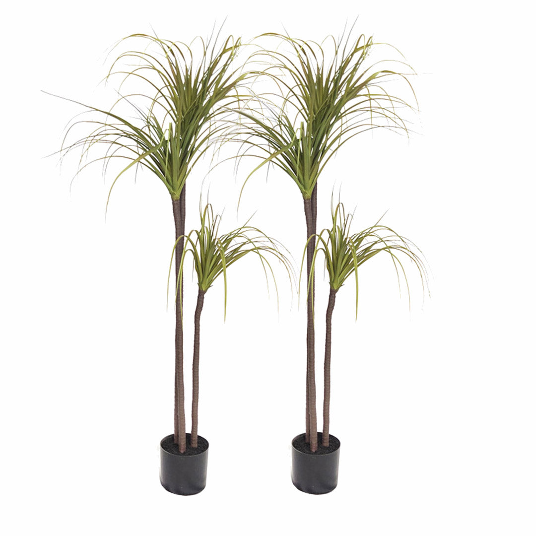 SOGA 2X 145cm Green Artificial Indoor Dragon Blood Tree Fake Plant Decorative - Cafe Supply
