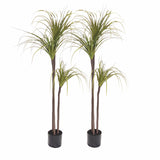 SOGA 2X 145cm Green Artificial Indoor Dragon Blood Tree Fake Plant Decorative - Cafe Supply