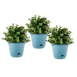 SOGA 19.5 cm Blue Plastic Plant Pot Self Watering Planter Flower Bonsai Indoor Outdoor Garden Decor Set of 3 - Cafe Supply