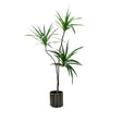 SOGA 180cm Green Artificial Indoor Brazlian Iron Tree Fake Plant Decorative 3 Heads - Cafe Supply