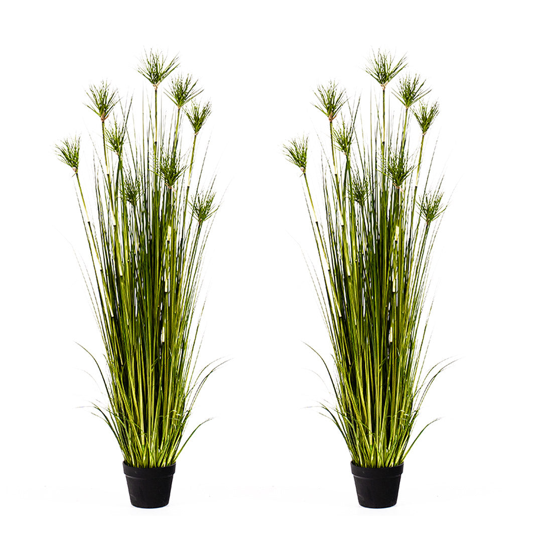 SOGA 2X 150cm Green Artificial Indoor Potted Papyrus Plant Tree Fake Simulation Decorative - Cafe Supply