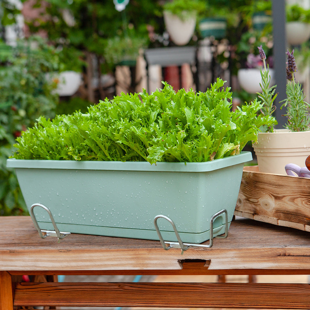 SOGA 49.5cm Green Rectangular Planter Vegetable Herb Flower Outdoor Plastic Box with Holder Balcony Garden Decor Set of 5 - Cafe Supply