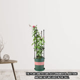 SOGA 2X 73cm 4-Bar Plant Frame Stand Trellis Vegetable Flower Herbs Outdoor Vine Support Garden Rack with Rings - Cafe Supply