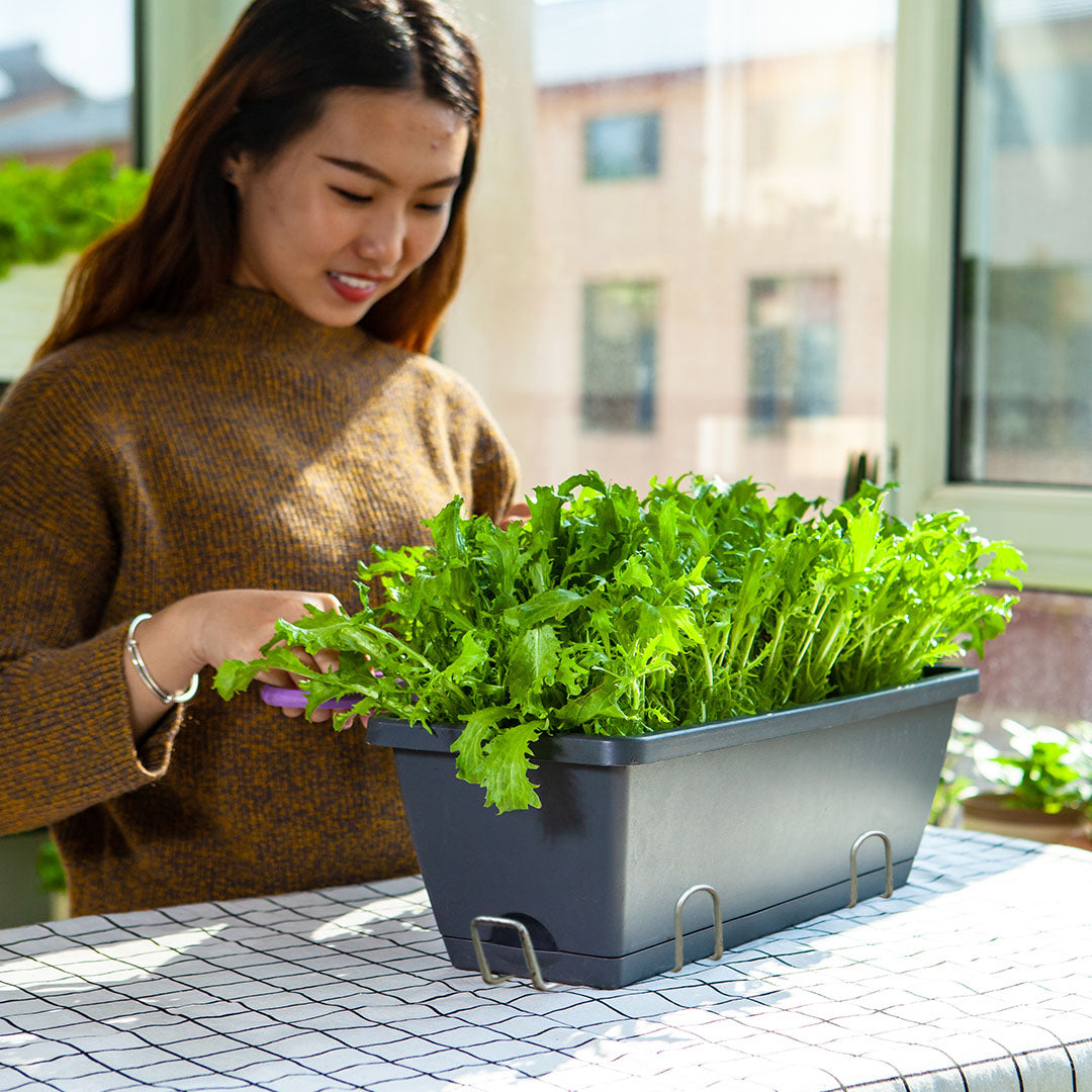 SOGA 49.5cm Black Rectangular Planter Vegetable Herb Flower Outdoor Plastic Box with Holder Balcony Garden Decor Set of 2 - Cafe Supply