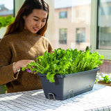 SOGA 49.5cm Black Rectangular Planter Vegetable Herb Flower Outdoor Plastic Box with Holder Balcony Garden Decor Set of 2 - Cafe Supply