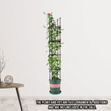 SOGA 163cm 4-Bar Plant Frame Stand Trellis Vegetable Flower Herbs Outdoor Vine Support Garden Rack with Rings - Cafe Supply