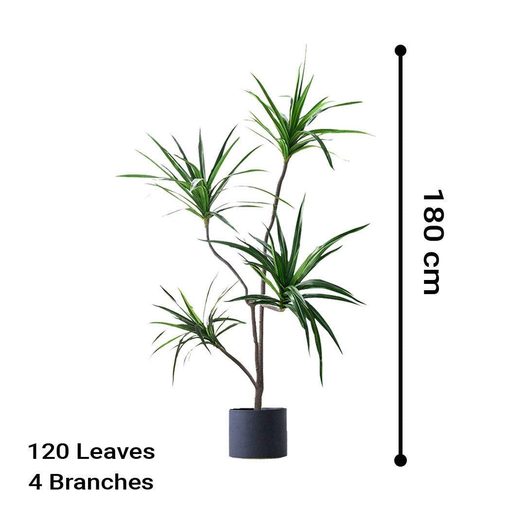 SOGA 4X 180cm Green Artificial Indoor Brazlian Iron Tree Fake Plant Decorative 4 Heads - Cafe Supply