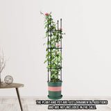 SOGA 2X 133cm 4-Bar Plant Frame Stand Trellis Vegetable Flower Herbs Outdoor Vine Support Garden Rack with Rings - Cafe Supply