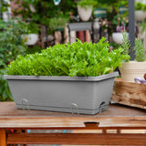 SOGA 49.5cm Gray Rectangular Planter Vegetable Herb Flower Outdoor Plastic Box with Holder Balcony Garden Decor Set of 5 - Cafe Supply