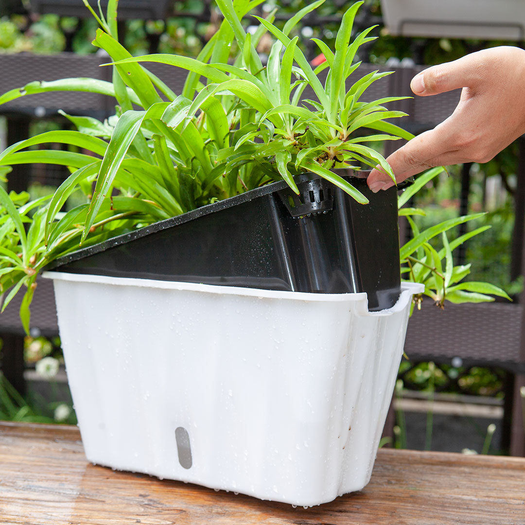 SOGA 2X 35cm Small White Rectangular Flowerpot Vegetable Herb Flower Outdoor Plastic Box Garden Decor - Cafe Supply