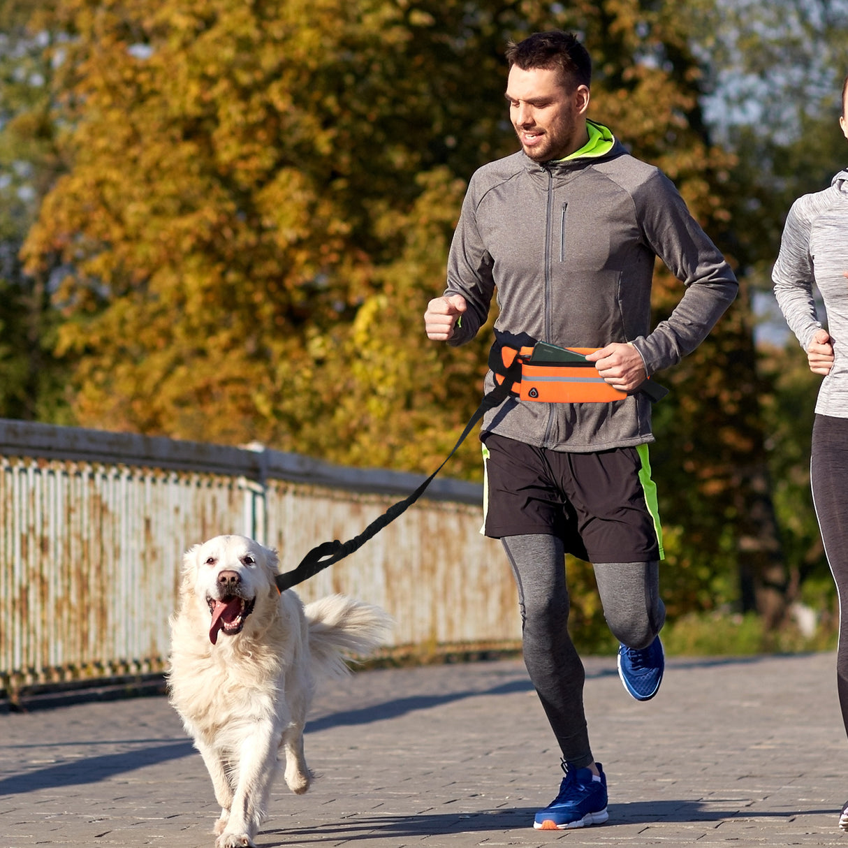SOGA Orange Adjustable Hands-Free Pet Leash Bag Dog Lead Walking Running Jogging Pet Essentials - Cafe Supply
