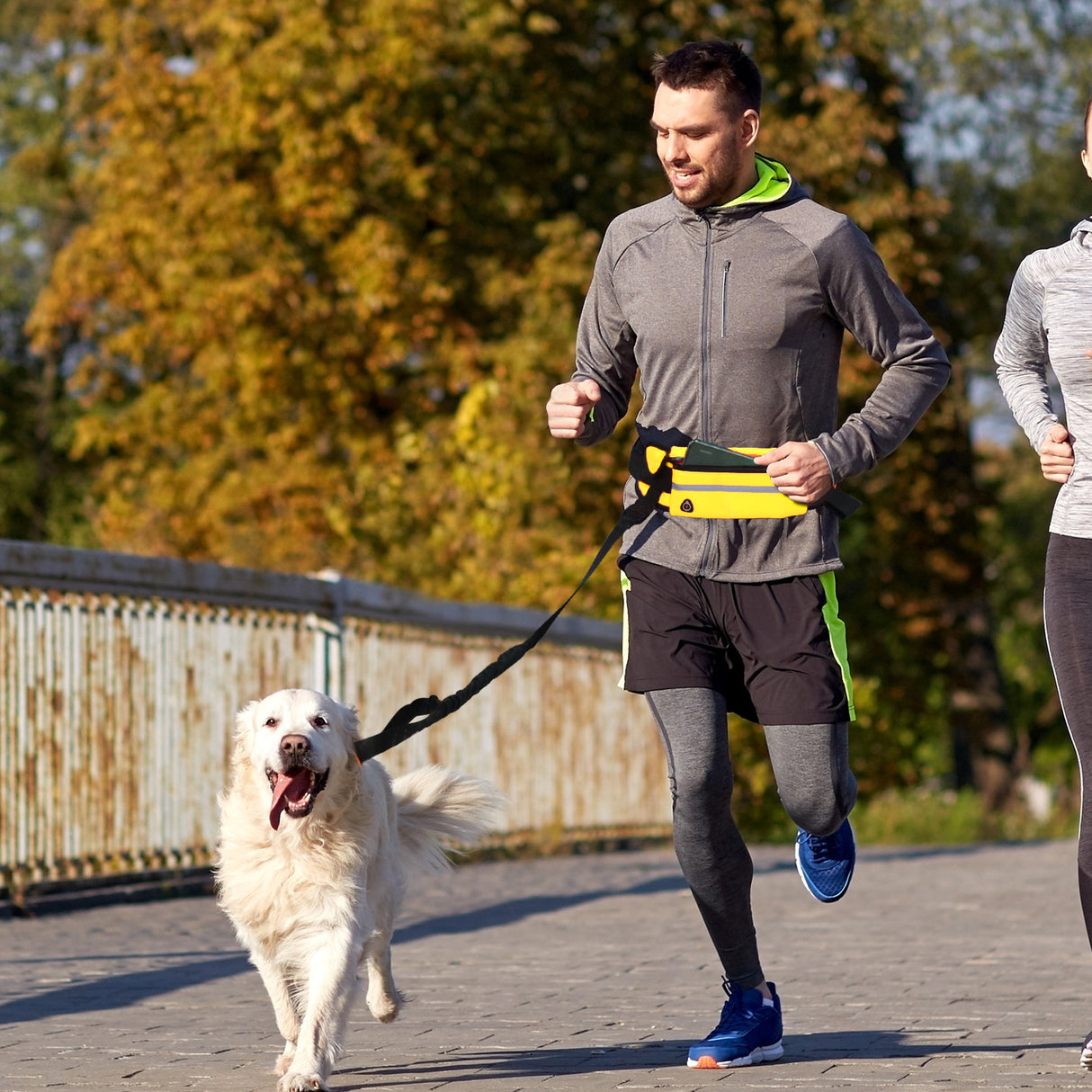 SOGA 2X Yellow Adjustable Hands-Free Pet Leash Bag Dog Lead Walking Running Jogging Pet Essentials - Cafe Supply