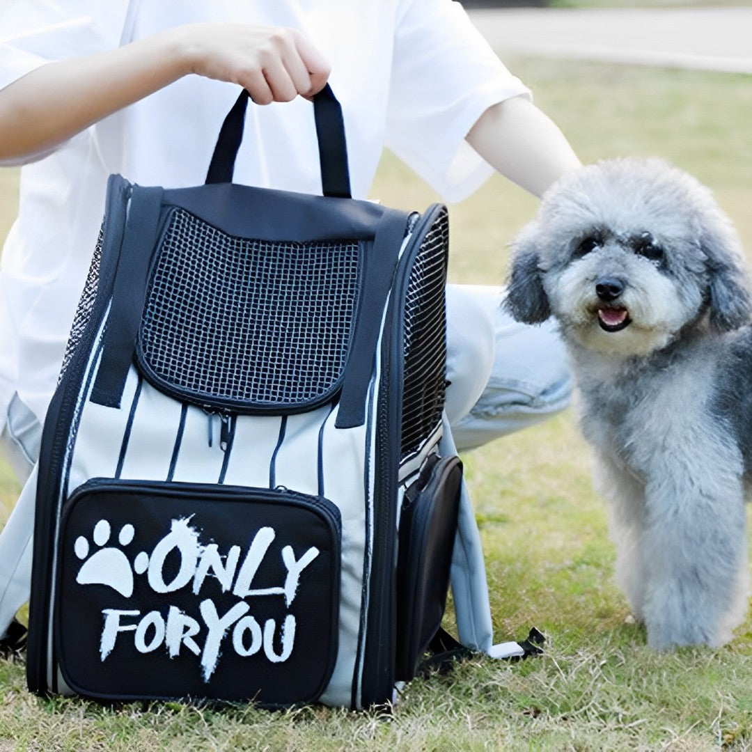 SOGA 2X Black Pet Carrier Backpack Breathable Mesh Portable Safety Travel Essentials Outdoor Bag - Cafe Supply