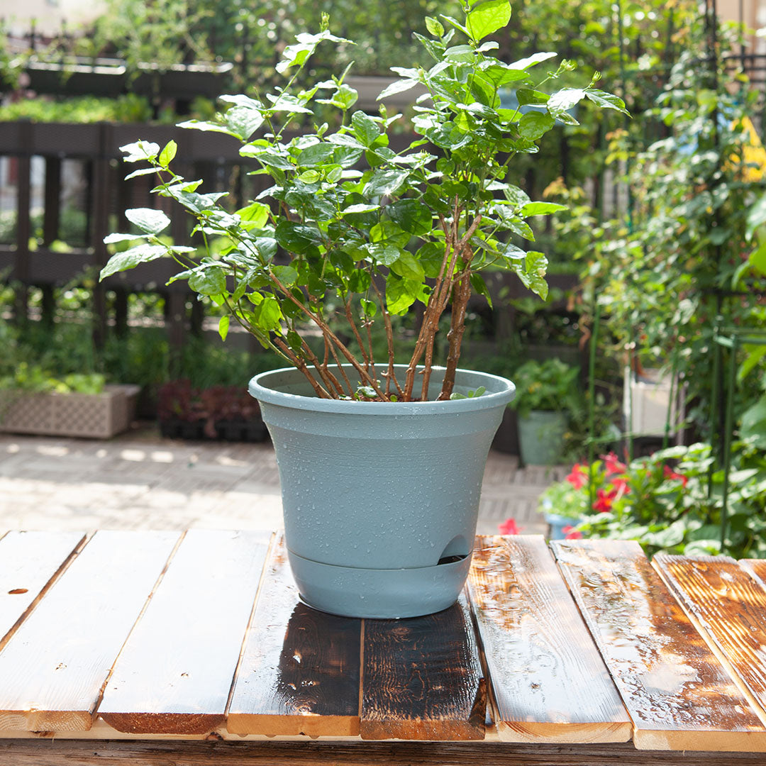 SOGA 19.5 cm Blue Plastic Plant Pot Self Watering Planter Flower Bonsai Outdoor Garden Decor Set of 2 - Cafe Supply