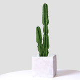 SOGA 2X 95cm Green Artificial Indoor Cactus Tree Fake Plant Simulation Decorative 2 Heads - Cafe Supply
