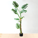 SOGA 4X 175cm Green Artificial Indoor Turtle Back Tree Fake Fern Plant Decorative - Cafe Supply