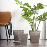 SOGA 2X 27cm Sand Grey Square Resin Plant Flower Pot in Cement Pattern Planter Cachepot for Indoor Home Office - Cafe Supply