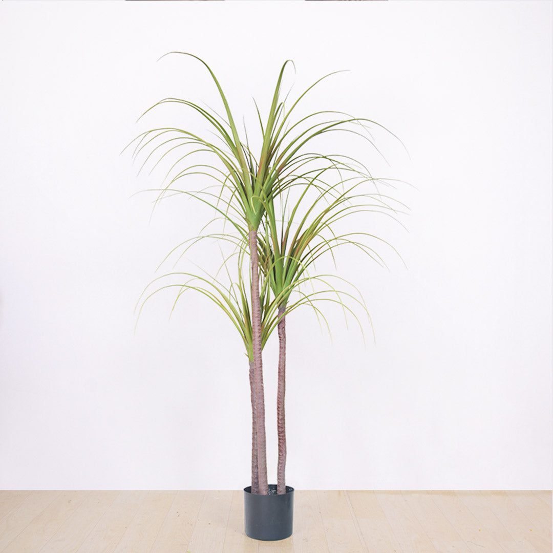 SOGA 2X 145cm Green Artificial Indoor Dragon Blood Tree Fake Plant Decorative - Cafe Supply