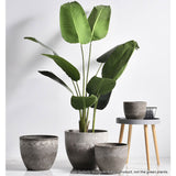 SOGA 2X 32cm Rock Grey Round Resin Plant Flower Pot in Cement Pattern Planter Cachepot for Indoor Home Office - Cafe Supply