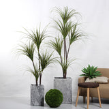 SOGA 2X 150cm Green Artificial Indoor Dragon Blood Tree Fake Plant Simulation Decorative - Cafe Supply