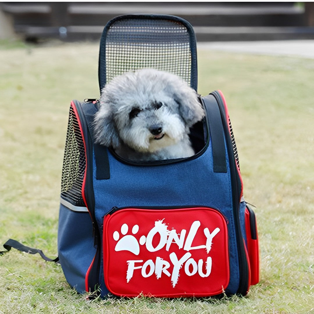 SOGA 2X Red Pet Carrier Backpack Breathable Mesh Portable Safety Travel Essentials Outdoor Bag - Cafe Supply