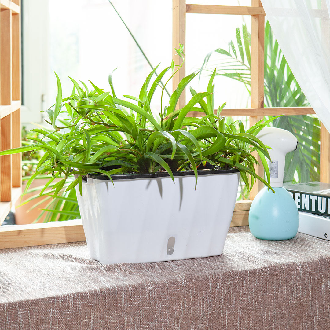 SOGA 2X 35cm Small White Rectangular Flowerpot Vegetable Herb Flower Outdoor Plastic Box Garden Decor - Cafe Supply