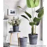 SOGA 2X 27cm Weathered Grey Round Resin Plant Flower Pot in Cement Pattern Planter Cachepot for Indoor Home Office - Cafe Supply