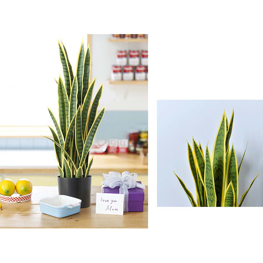 SOGA 2X 95cm Artificial Indoor Yellow Edge Tiger Piran Fake Decoration Tree Flower Pot Plant - Cafe Supply