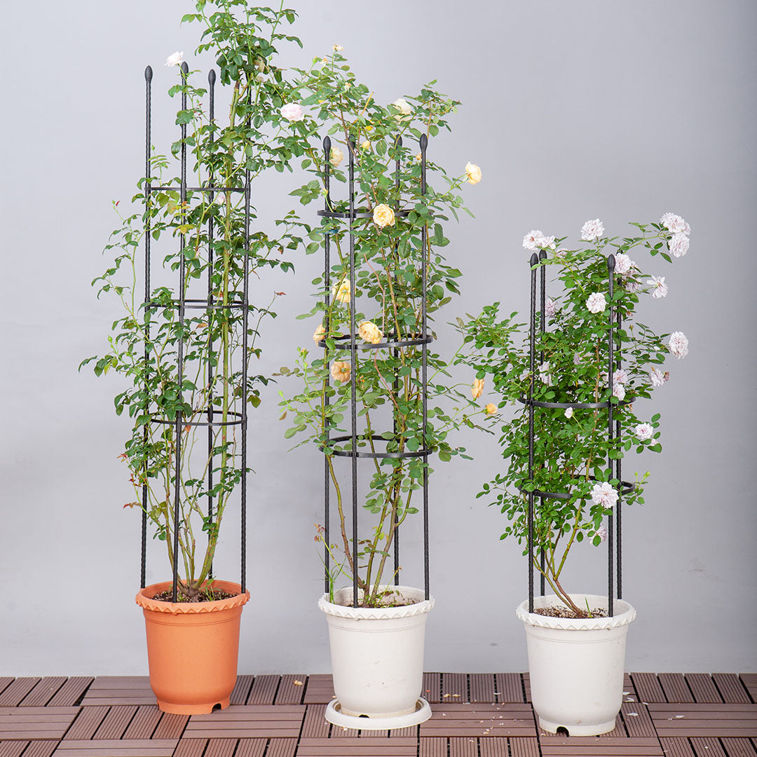 SOGA 2X 163cm 4-Bar Plant Frame Stand Trellis Vegetable Flower Herbs Outdoor Vine Support Garden Rack with Rings - Cafe Supply