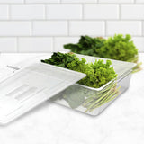 SOGA 150mm Clear Gastronorm GN Pan 1/1 Food Tray Storage Bundle of 4 with Lid - Cafe Supply