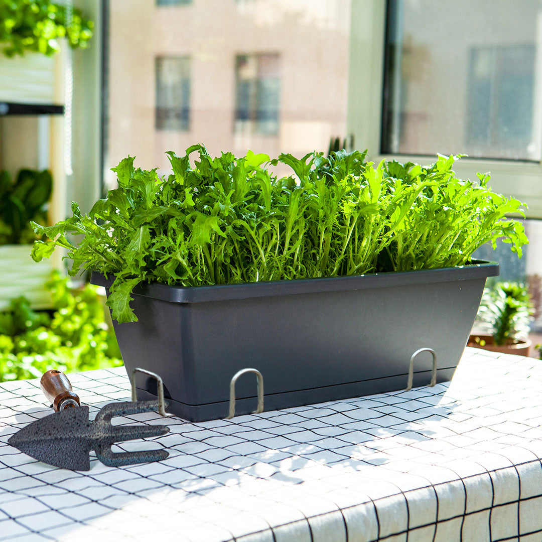 SOGA 49.5cm Black Rectangular Planter Vegetable Herb Flower Outdoor Plastic Box with Holder Balcony Garden Decor Set of 3 - Cafe Supply
