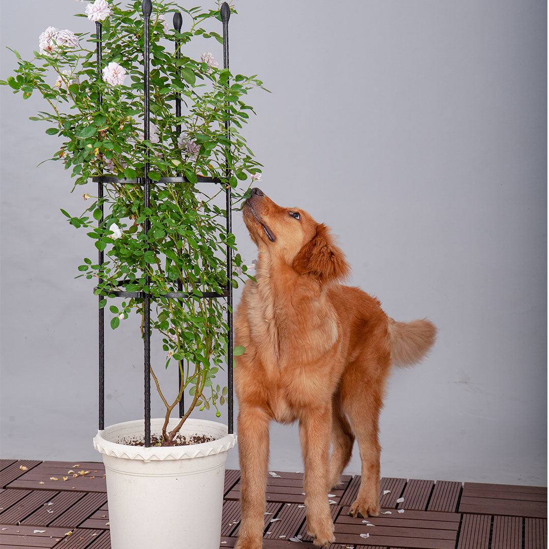 SOGA 103cm 4-Bar Plant Frame Stand Trellis Vegetable Flower Herbs Outdoor Vine Support Garden Rack with Rings - Cafe Supply