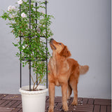 SOGA 103cm 4-Bar Plant Frame Stand Trellis Vegetable Flower Herbs Outdoor Vine Support Garden Rack with Rings - Cafe Supply