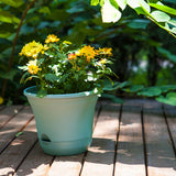 SOGA 19.5 cm Blue Plastic Plant Pot Self Watering Planter Flower Bonsai Outdoor Garden Decor Set of 2 - Cafe Supply